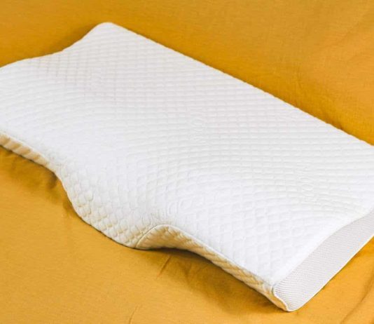 ECODEN Bamboo charcoal Pillow Review ECODEN Bamboo charcoal Pillow Review