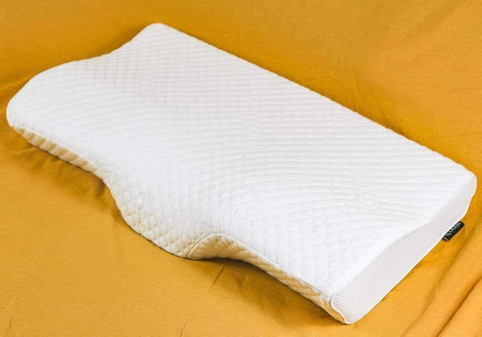 ECODEN Bamboo charcoal Pillow Review