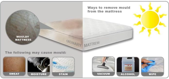MOLD IN MATTRESS