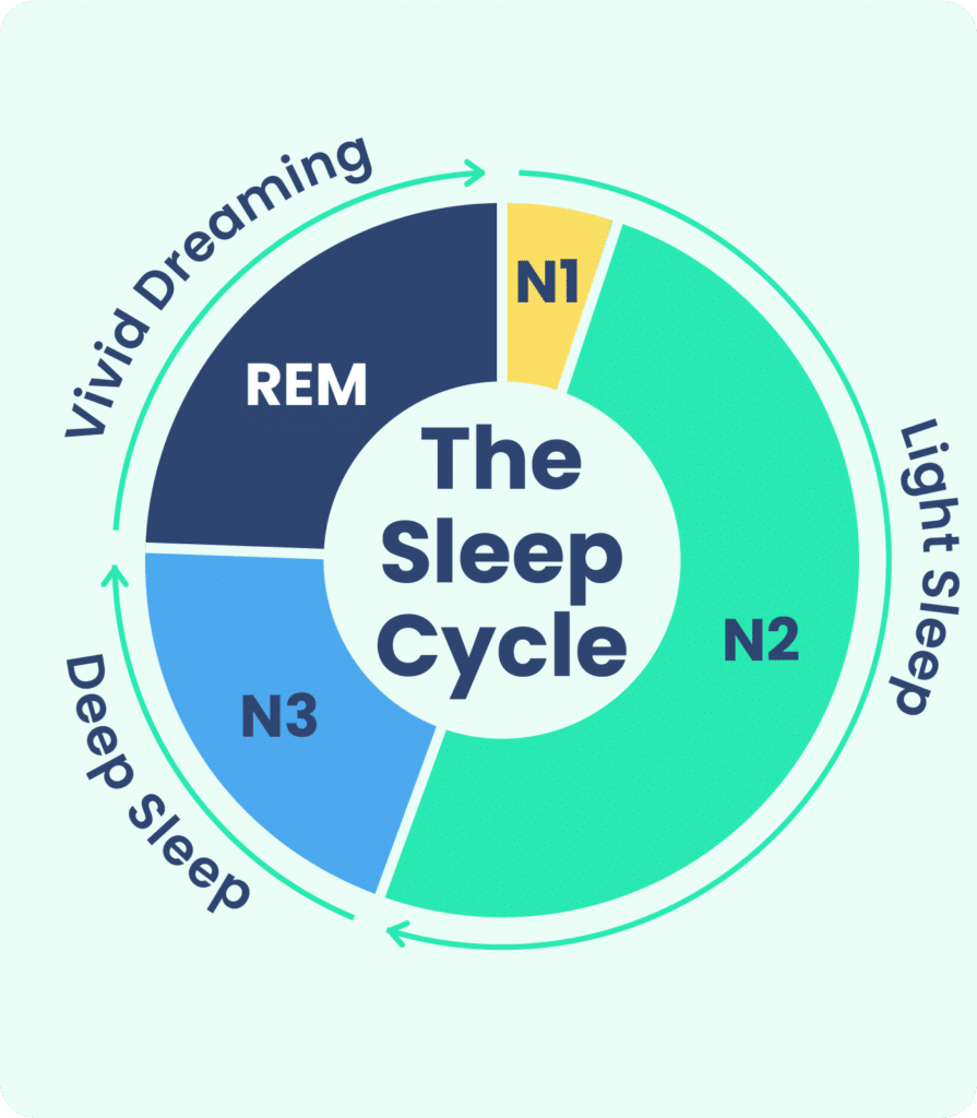 What Are The Stages Of Sleep?