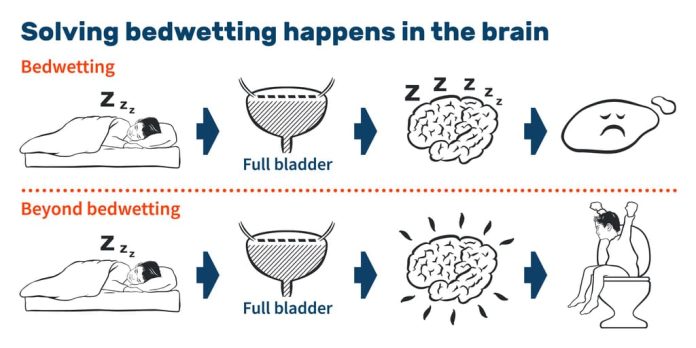 what causes bedwetting in children and adults 3