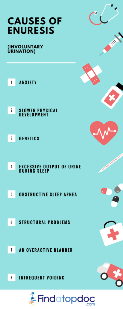 What Causes Bedwetting In Children And Adults?