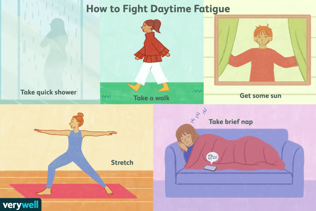 What Causes Us To Be Tired During The Day? What Causes Us To Be Tired During The Day?