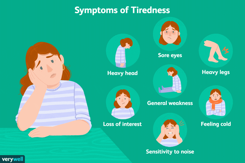 What Causes Us To Be Tired During The Day? What Causes Us To Be Tired During The Day?