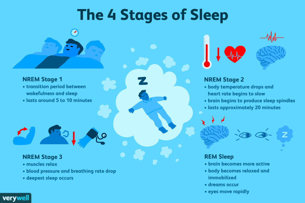 What Happens During REM Sleep?