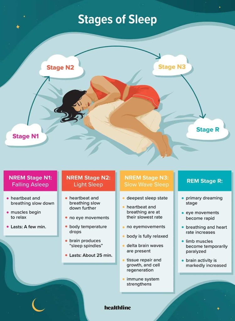 What Happens During REM Sleep?