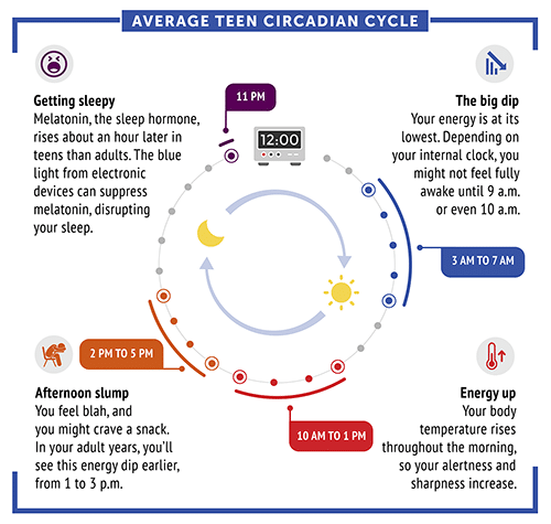 What Is The Circadian Rhythm?
