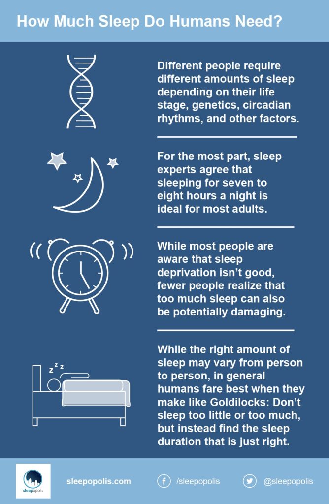 Why Do We Need Sleep?