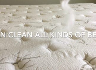 How Do I Get Rid Of Bed Bugs From A Mattress? How Do I Get Rid Of Bed Bugs From A Mattress