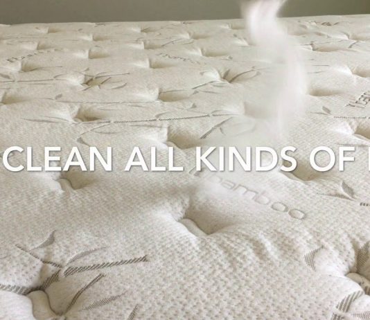 How Do I Get Rid Of Bed Bugs From A Mattress? How Do I Get Rid Of Bed Bugs From A Mattress
