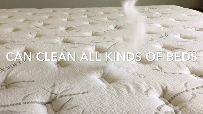 How Do I Get Rid Of Bed Bugs From A Mattress