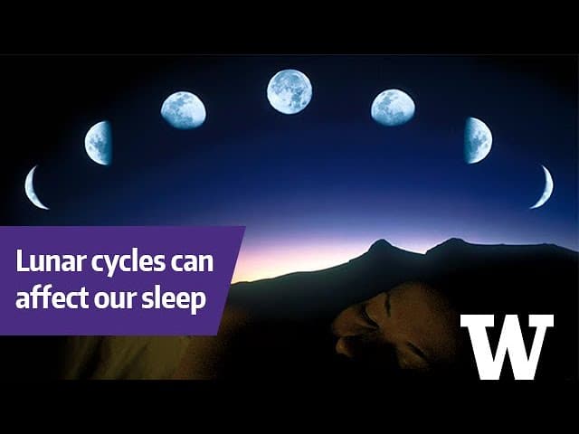 Does The Moon Really Affect Sleep?