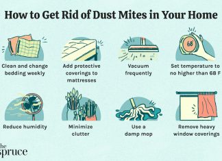 how do you get rid of dust mites in your mattress 1