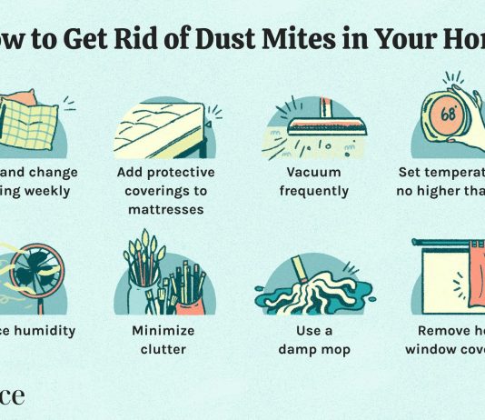 How Do You Get Rid Of Dust Mites In Your Mattress? how do you get rid of dust mites in your mattress 1
