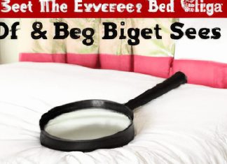 What Are The Signs Of Bed Bugs In A Mattress? what are the signs of bed bugs in a mattress 2