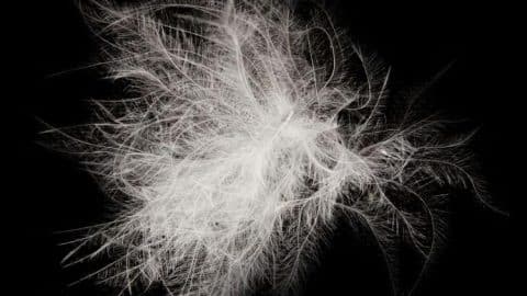 The Pros And Cons Of Common Pillow Fill Materials Like Down, Feathers, And Polyfill