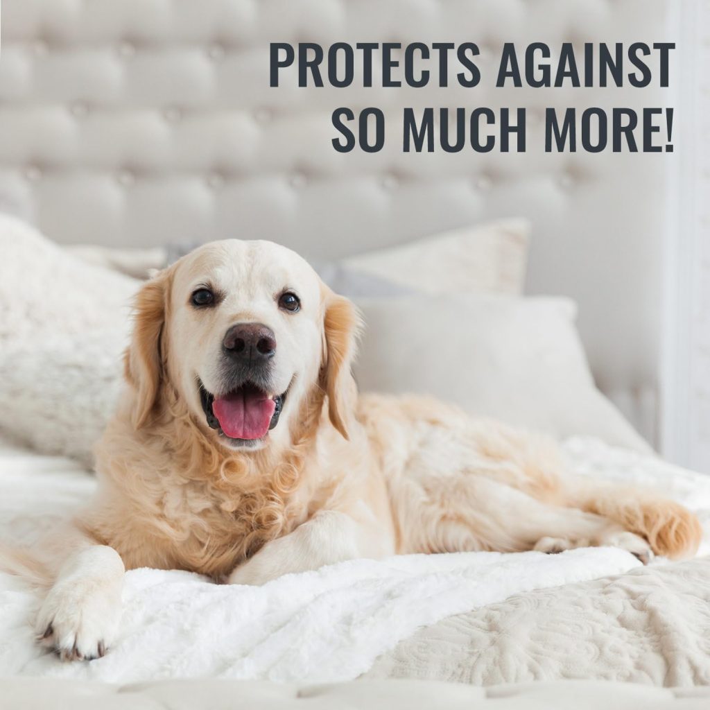 DMI Waterproof Mattress Protector and Mattress Cover, Encased Zippered Fit, Twin, Packaging may vary