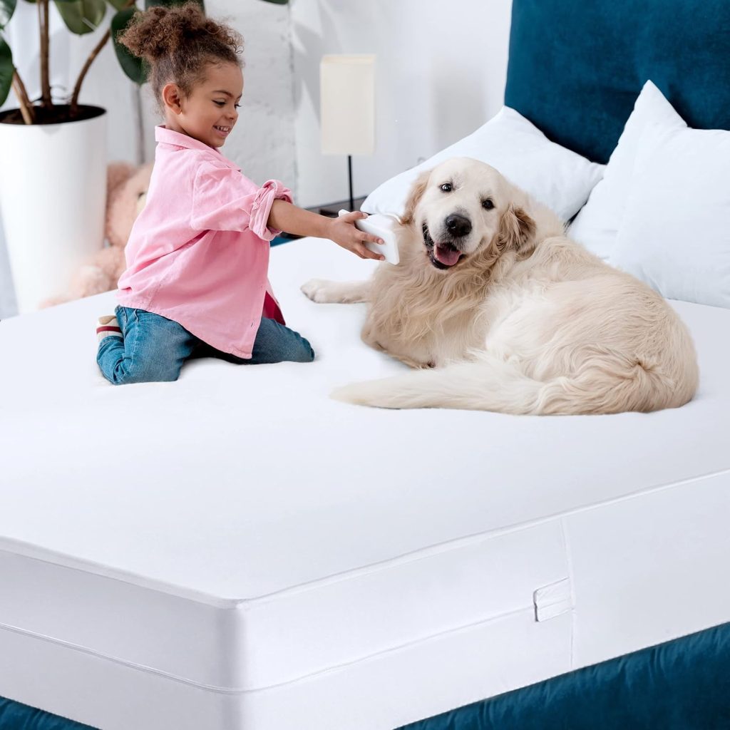 Utopia Bedding Zippered Mattress Encasement Queen - 100% Waterproof and Bed Bug Proof Mattress Protector - Absorbent, Six-Sided Mattress Cover Utopia Bedding Zippered Mattress Encasement Queen - 100% Waterproof and Bed Bug Proof Mattress Protector - Absorbent, Six-Sided Mattress Cover