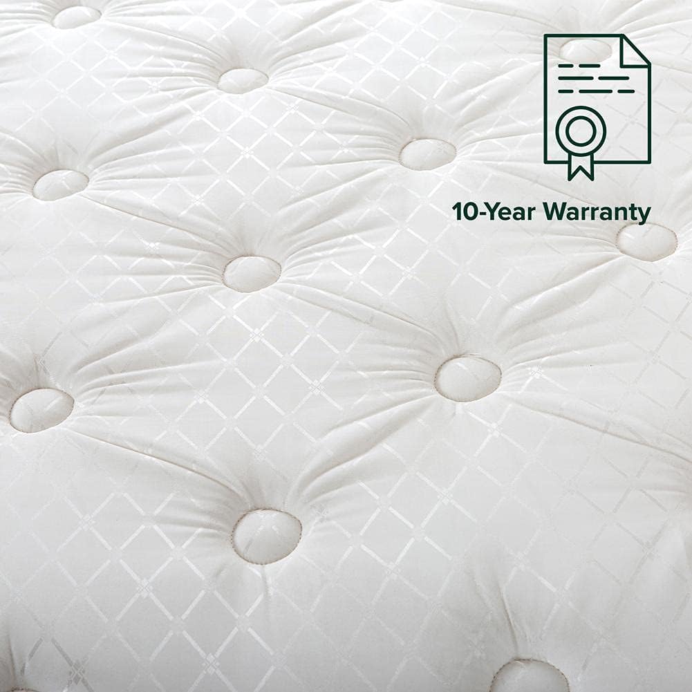 Zinus 8 Inch Foam and Spring Mattress / CertiPUR-US Certified Foams / Mattress-in-a-Box, Full