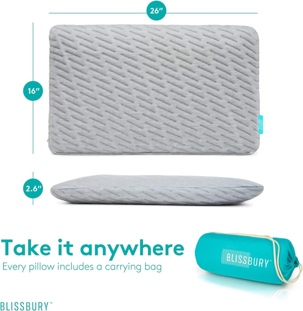 BLISSBURY 2.6 Inch Ultra Thin Pillow for Sleeping | Premium Memory Foam Flat Pillow for Stomach Sleeper | for Back  Stomach Sleeper | Certified Foam for Neck and Back Support | Removable Bamboo Case