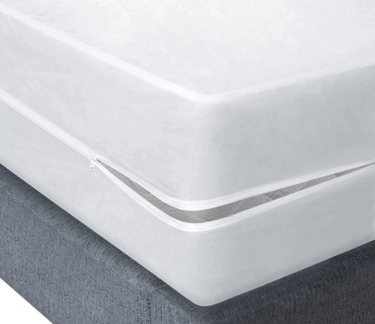 Blissford Plastic Mattress Protector Zippered Queen Review plastic mattress protector zippered queen waterproof vinyl mattress cover heavy duty noiseless mattress encasement by bl