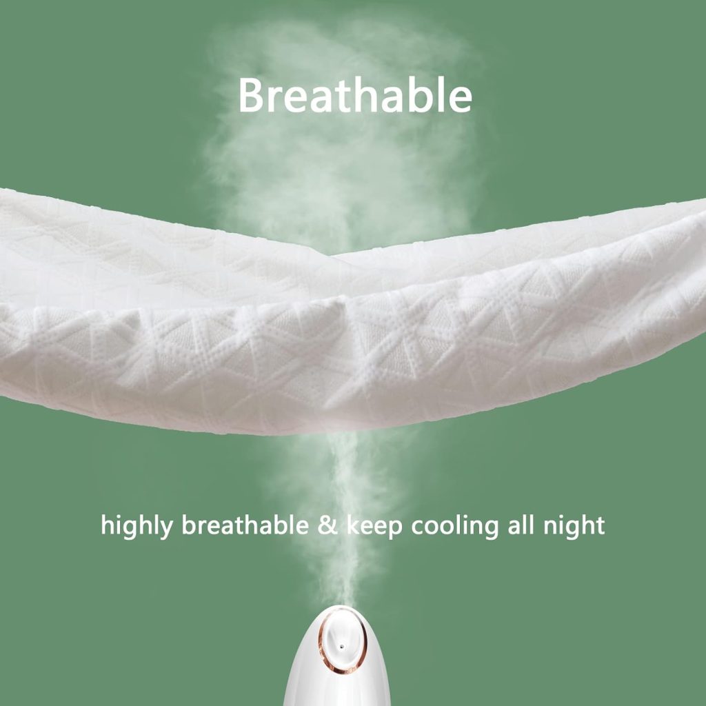 Premium 100% Waterproof Mattress Protector Queen Size Bed Rayon Made from Bamboo Cover Breathable 3D Air Fabric Cooling Mattress Pad Cover Smooth Soft Noiseless Washable, 8-21 Deep Pocket