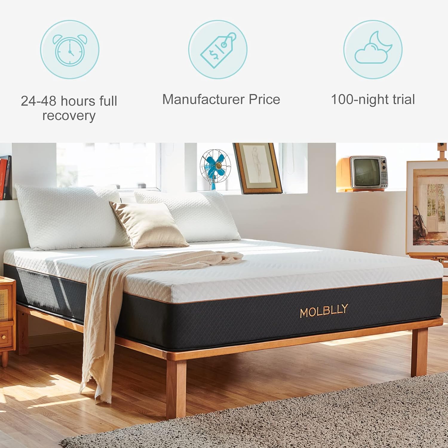 molblly queen mattress 12 inch hybrid mattress with individual pocket springs and foam queen size bed breathable and pre 1