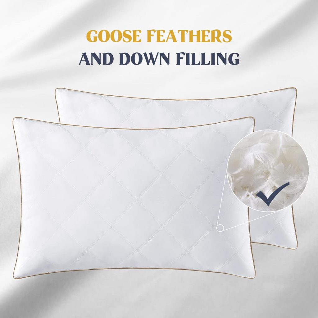 puredown® Goose Feathers and Down Pillow for Sleeping Gusseted Bed Hotel Collection Pillows, Standard, Set of 2