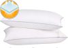 HIMOON Bed Pillows for Sleeping 2 Pack review Home |